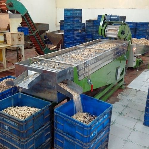 Broken Cashew Kernel Sorting Machine