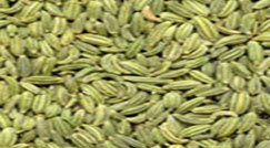 fennel seed