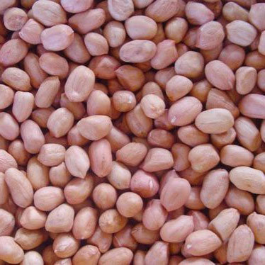 Raw Peanuts