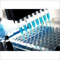 Pharmaceutical Processing Equipment - Stainless Steel, Variable Dimensions , Customizable Capacity, Durable Design, High Throughput, Rust Resistant, Easy Cleaning