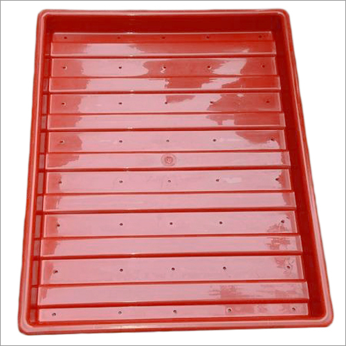 Hydroponic Tray
