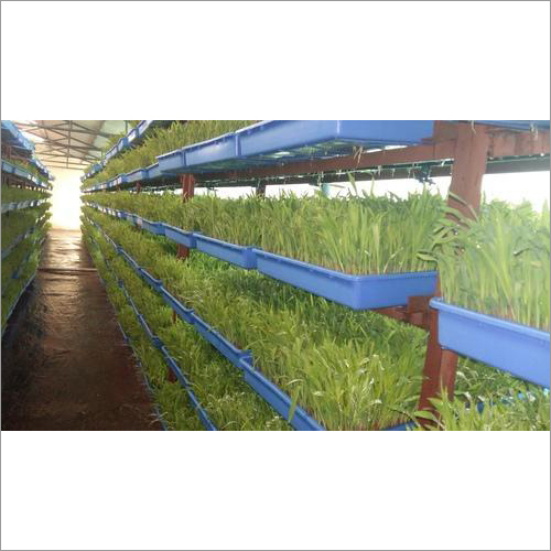 Hydroponics Unit