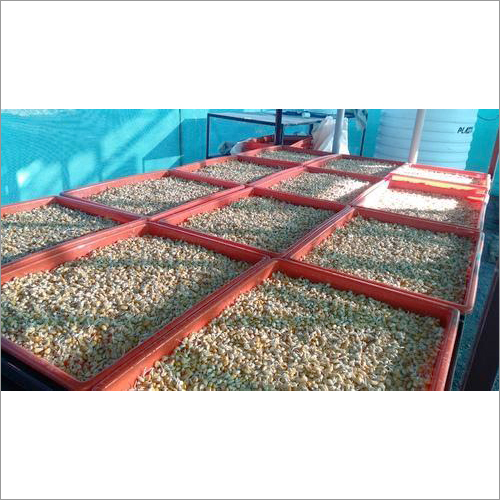 Horizontal Hydroponics Unit