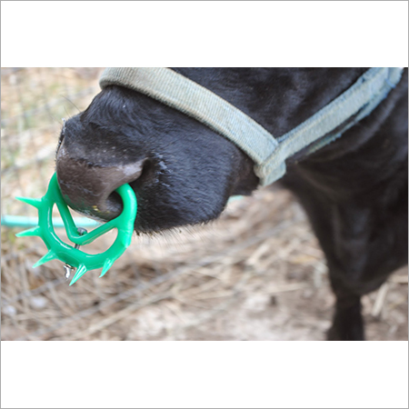 Cattle Weaner Medium
