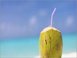 Coconut