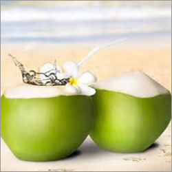 Organic Green Coconut