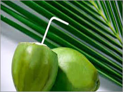 Organic Coconut