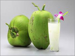 Young Green Coconut