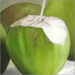 Fresh Tender Coconut