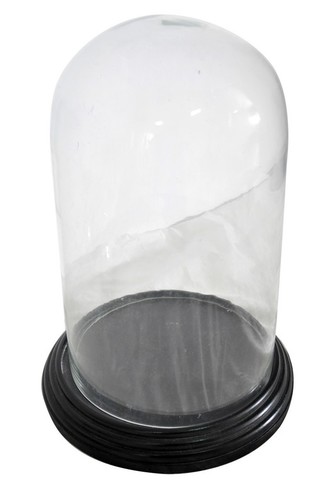 Cake Dom of Glass & Wood