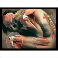 Footwear For Joint Pain