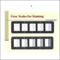SDC Grey Scale For Assessing Staining