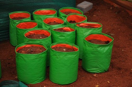 HDPE Plant Bag