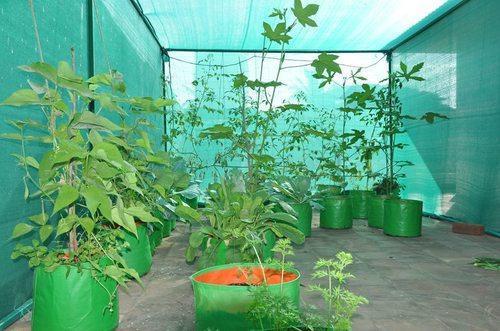Terrace Gardening Hdpe Plant Bags By PIONEER AGRO INDUSTRY