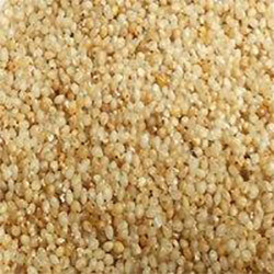 Little Millet - Saamai