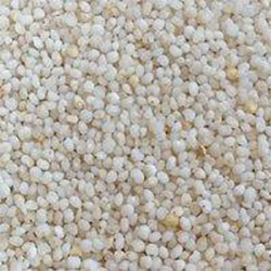 Kodo Millet - Varagu