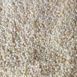 Barnyard Millet - Kudiravaali