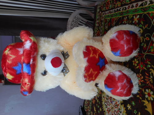 Teddy wear