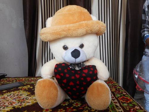 Teddy wear