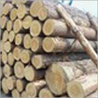Akashiya Wood Cut Size