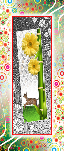 Interior Designer Doors