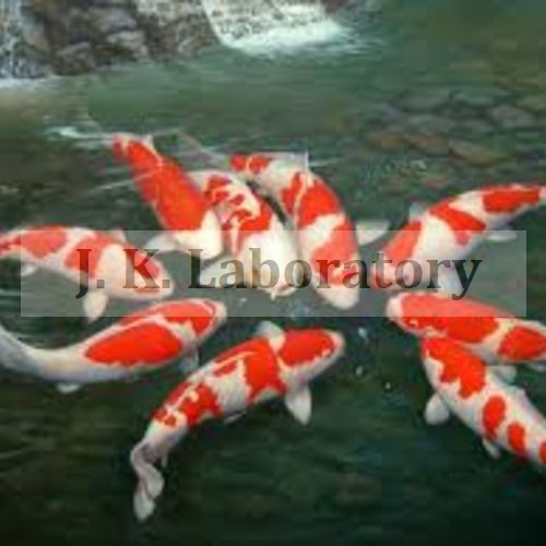 Fish Testing Services Fish Testing Services