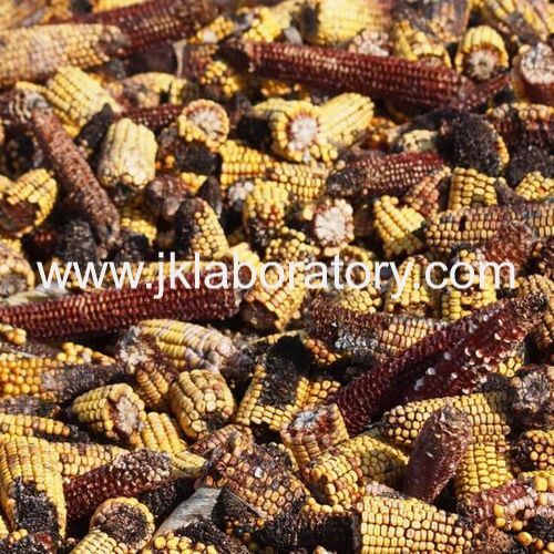 Aflatoxin Material Testing Services