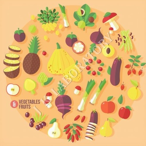 Food Analytical Testing Services