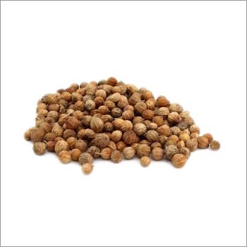 Fresh Coriander