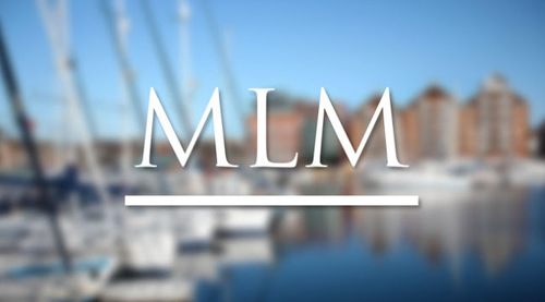 MLM News Software