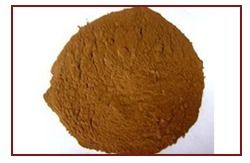 Vegetable Extract Powder