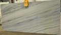 Platinum White Granite