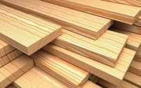 saal plywood