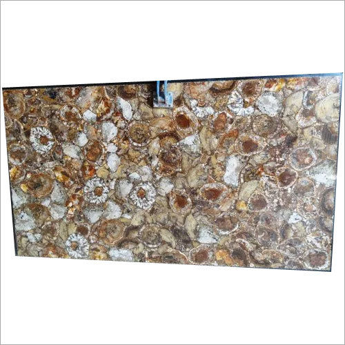 Petrified Wood Round Slab Solid Surface