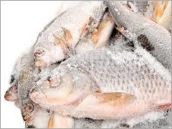 Frozen Fish - Variable Weight IQF Tilapia | Bacterial-Free