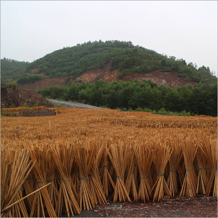 Coconut Broom Stick