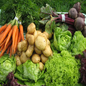 Fresh Vegetable