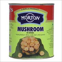 Canned Mushroom
