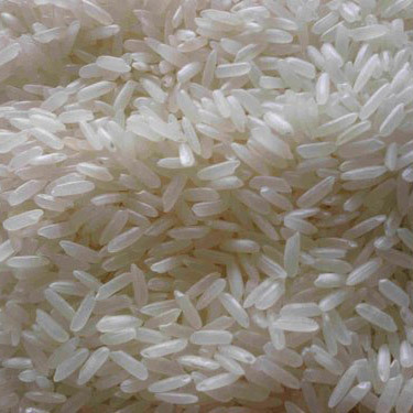Golden Swarna Rice