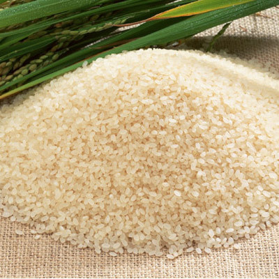 Golden Pusa Rice