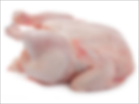 Frozen Chicken