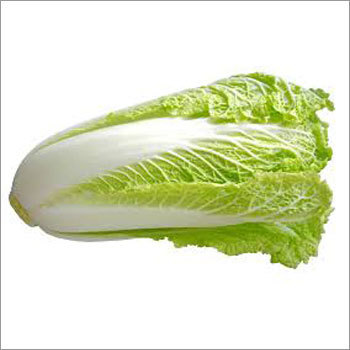 Chinese Cabbage Seeds
