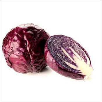 Red Cabbage Seeds