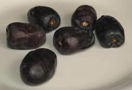 Mazafati Fresh Dates