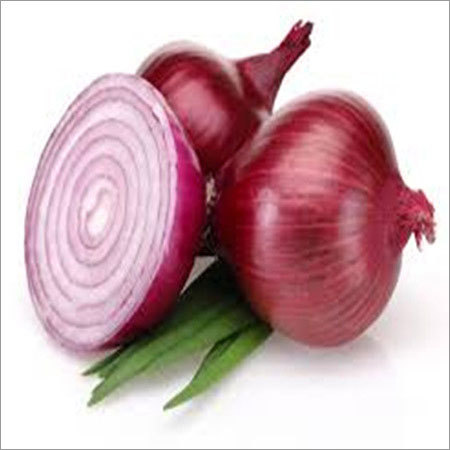 Onion Seeds - 100g Dark Red, Round | High Yield, Fast Growth, Disease Resistant, Year-Round Planting, Good Storage