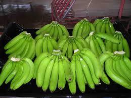 Fresh Cavendish Green Bananas