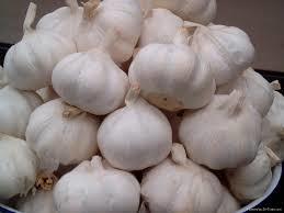 Natural Pure White Garlic