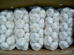 Pure White Garlic By ABBAY TRADING GROUP, CO LTD