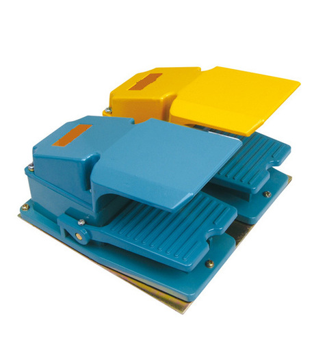 Double pedal switch