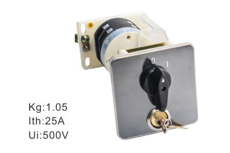 POWER CUT OFF SWITCHES - Metal, 80x80x50mm, 500V, 25A | Key-Operated, Double-Bitted, Panel Mount, Reliable Performance